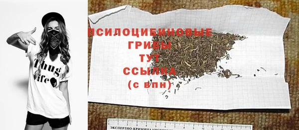 spice Богданович